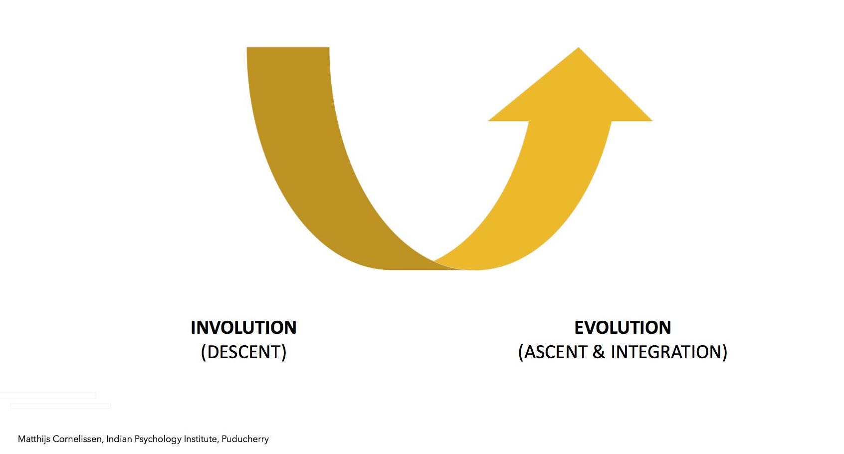 Involution and evolution -- simple